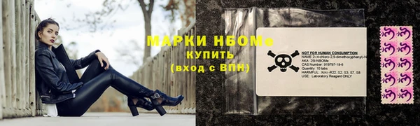 эйфоретик Бородино