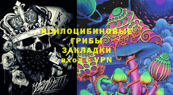 ешки Бронницы