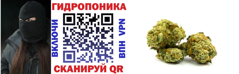 Канабис план  Купить где  Мариинск 